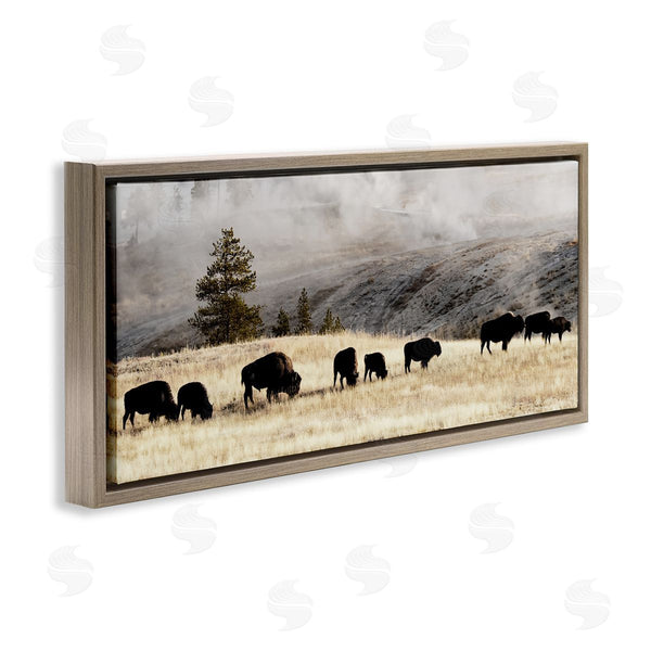Stupell Industries Danita Delimont | Grazing Bison Foggy Countryside Wall Art
