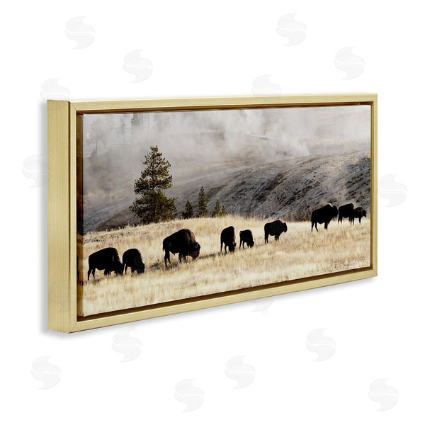 Stupell Industries Danita Delimont | Grazing Bison Foggy Countryside Wall Art