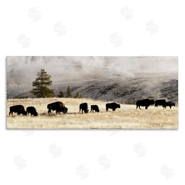 stupell industries Danita Delimont | Grazing Bison Foggy Countryside Wall Art