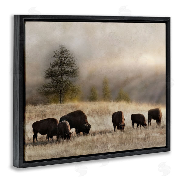Stupell Industries Danita Delimont | Grazing Bison Rural Grassland Meadow Panoramic Scene Wall Art