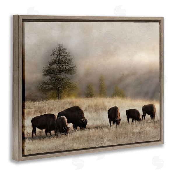 Stupell Industries Danita Delimont | Grazing Bison Rural Grassland Meadow Panoramic Scene Wall Art