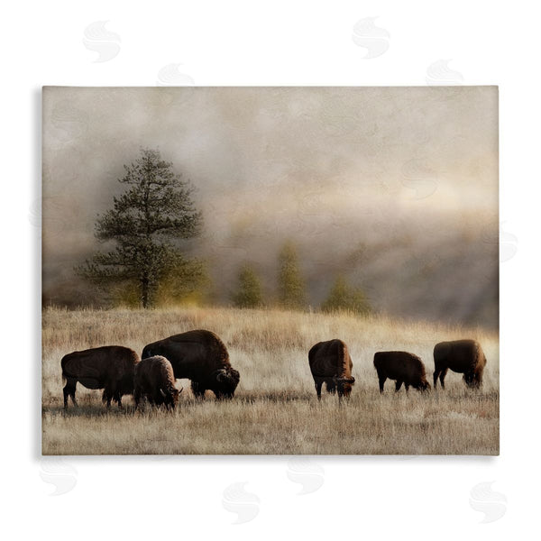 stupell industries Danita Delimont | Grazing Bison Rural Grassland Meadow Panoramic Scene Wall Art