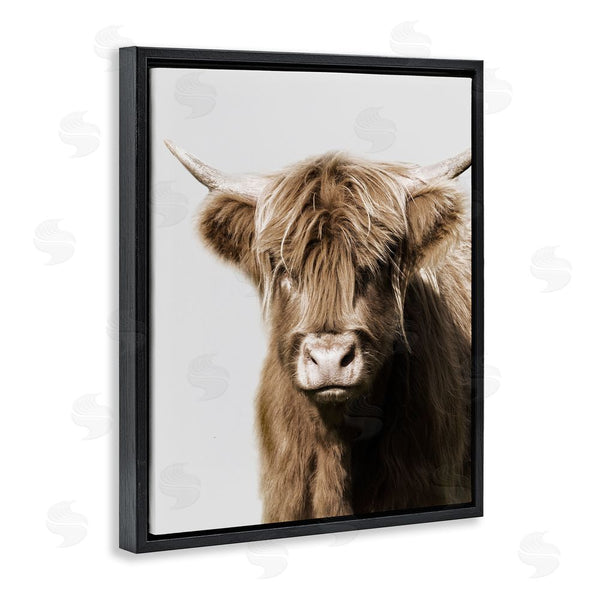 Stupell Industries Danita Delimont | Highland Cattle Close-Up Wall Art