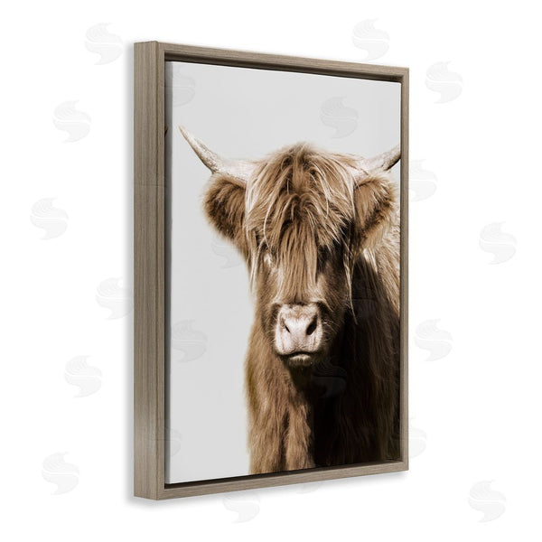 Stupell Industries Danita Delimont | Highland Cattle Close-Up Wall Art