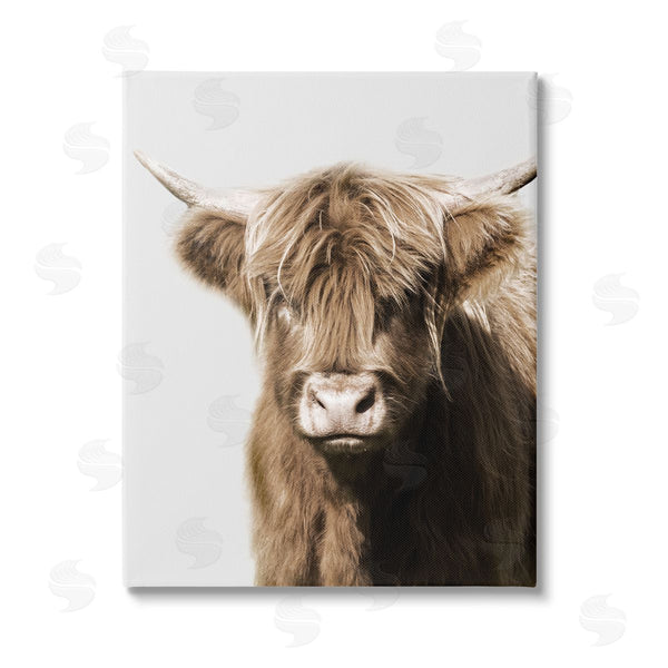 stupell industries Danita Delimont | Highland Cattle Close-Up Wall Art