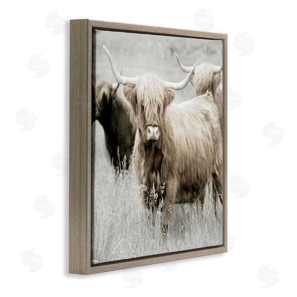 Stupell Industries Danita Delimont | Highland Cattle Country Meadow Wall Art