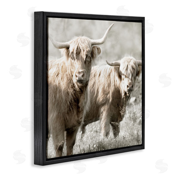 Stupell Industries Danita Delimont | Highland Cattle Pair Grazing Wall Art