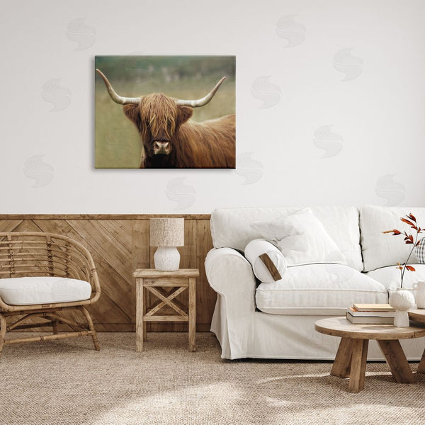 Stupell Industries Danita Delimont | Highland Cattle Shaggy Hair Country Animal Portrait Photography Wall Art