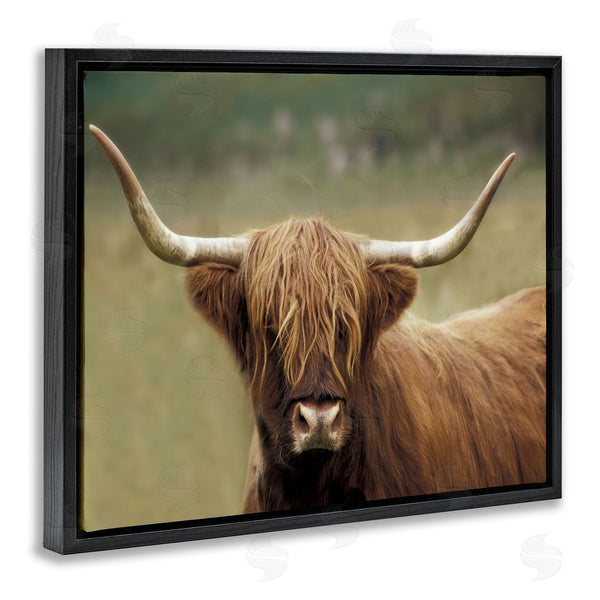 Stupell Industries Danita Delimont | Highland Cattle Shaggy Hair Country Animal Portrait Photography Wall Art
