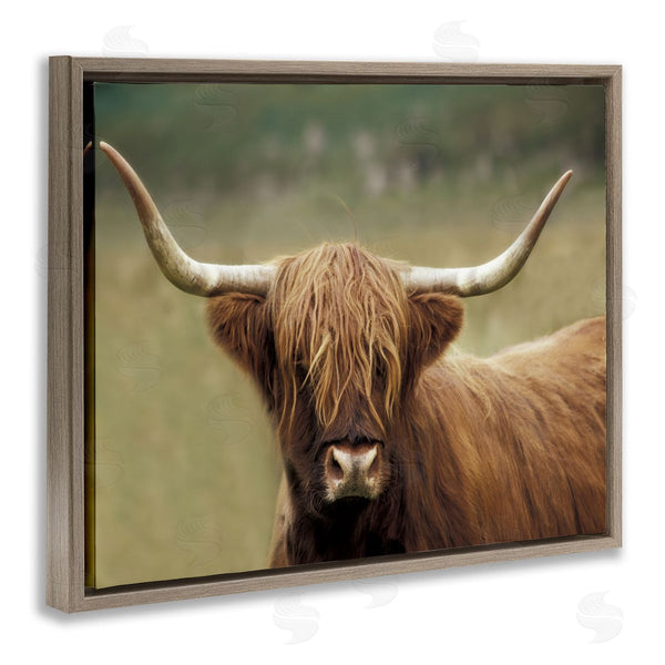 Stupell Industries Danita Delimont | Highland Cattle Shaggy Hair Country Animal Portrait Photography Wall Art