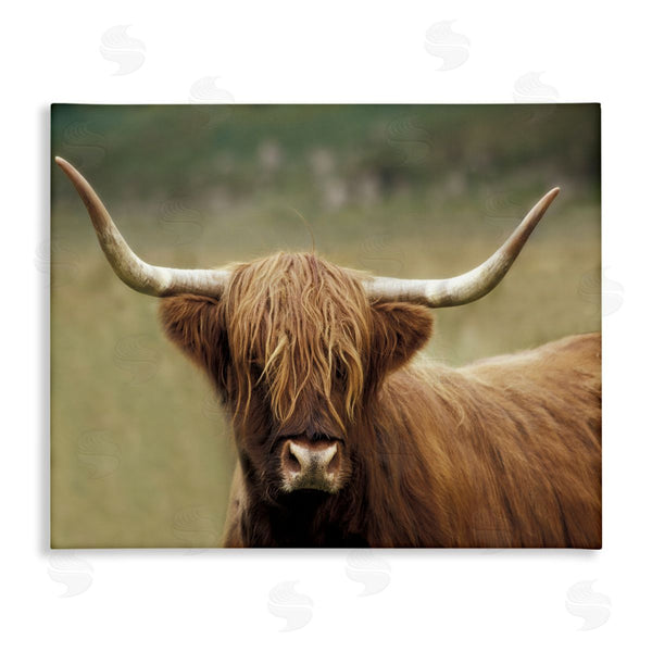 stupell industries Danita Delimont | Highland Cattle Shaggy Hair Country Animal Portrait Photography Wall Art