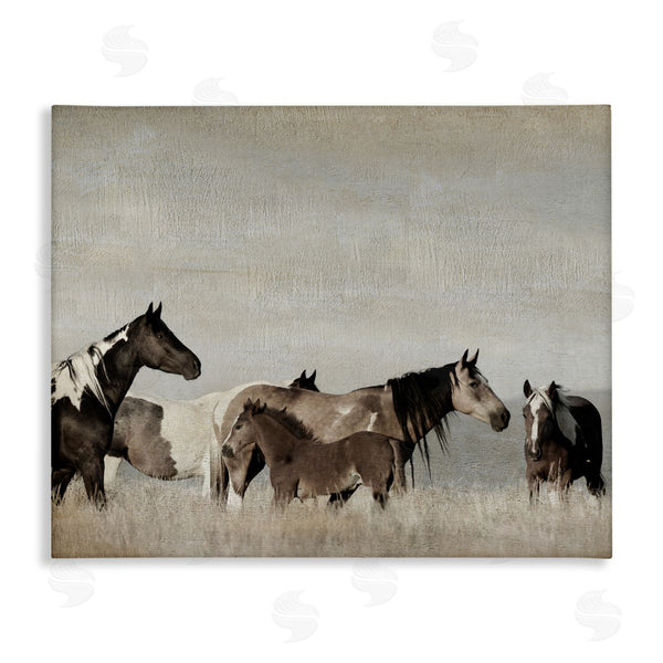 stupell industries Danita Delimont | Horse Family Foals Grazing Wall Art