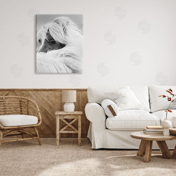 Stupell Industries Danita Delimont | Horse Gazing Windblown Mane Wall Art