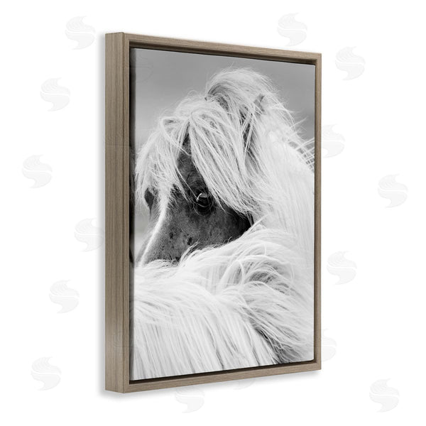 Stupell Industries Danita Delimont | Horse Gazing Windblown Mane Wall Art