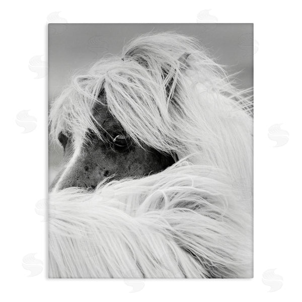 stupell industries Danita Delimont | Horse Gazing Windblown Mane Wall Art
