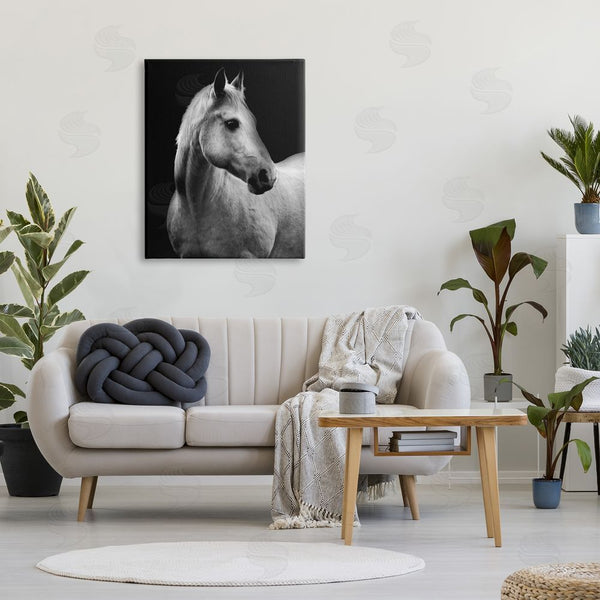 Stupell Industries Danita Delimont | Horse On Black Portrait Wall Art
