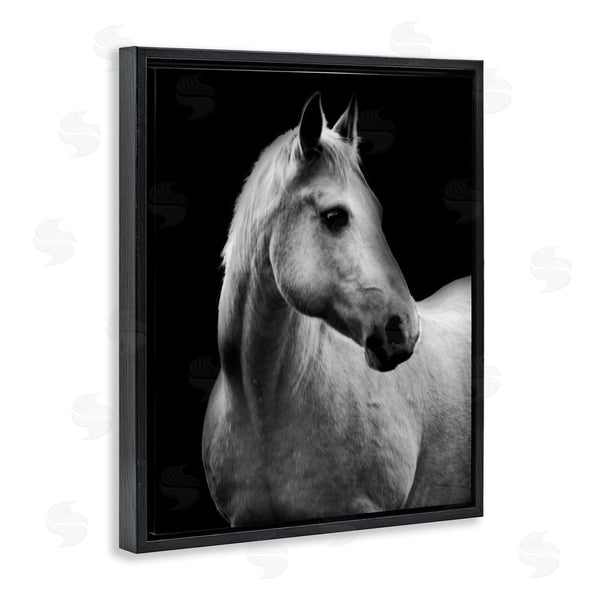 Stupell Industries Danita Delimont | Horse On Black Portrait Wall Art