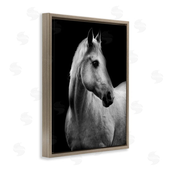 Stupell Industries Danita Delimont | Horse On Black Portrait Wall Art