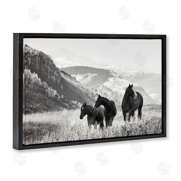 Stupell Industries Danita Delimont | Horse Trio On Mountainside