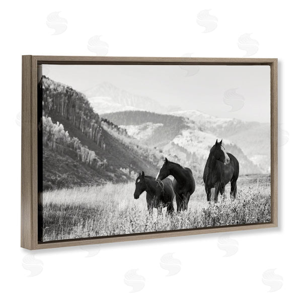 Stupell Industries Danita Delimont | Horse Trio On Mountainside