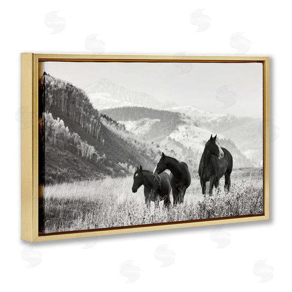 Stupell Industries Danita Delimont | Horse Trio On Mountainside
