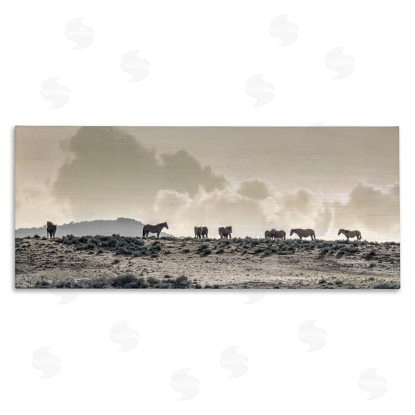 stupell industries Danita Delimont | Horses in Vast Landscape Wall Art