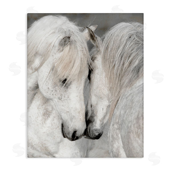 stupell industries Danita Delimont | Hugging Horse Duo Wildlife Wall Art