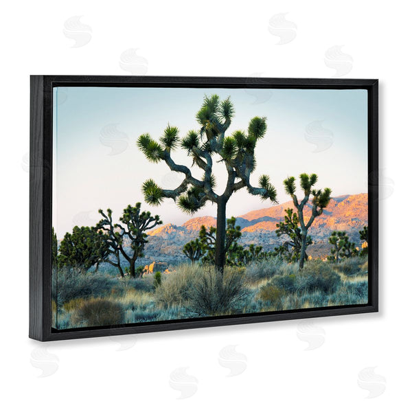 Stupell Industries Danita Delimont | Joshua Trees In Vast Desert