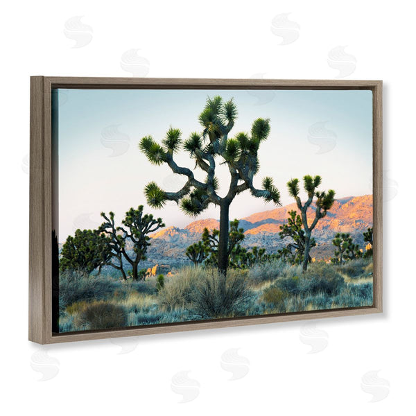 Stupell Industries Danita Delimont | Joshua Trees In Vast Desert