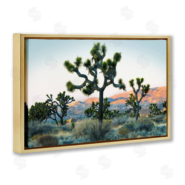 Stupell Industries Danita Delimont | Joshua Trees In Vast Desert
