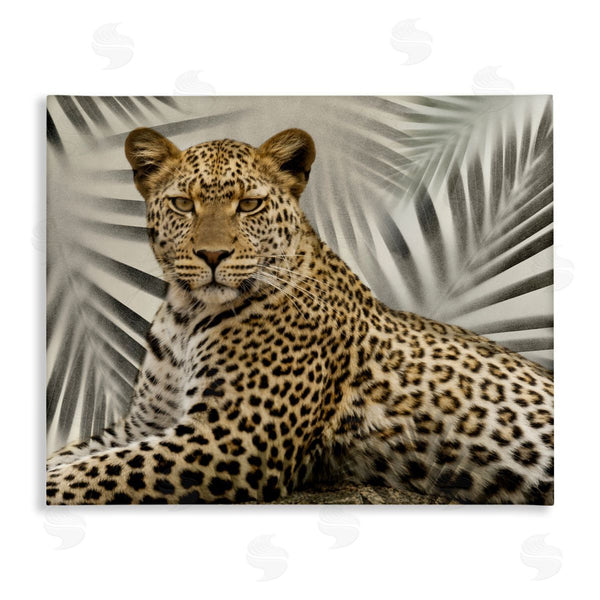 stupell industries Danita Delimont | Leopard with Palm Fronds