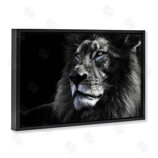 Stupell Industries Danita Delimont | Lion Portrait Close Up