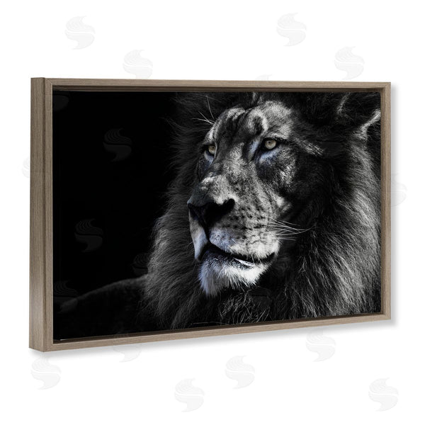 Stupell Industries Danita Delimont | Lion Portrait Close Up