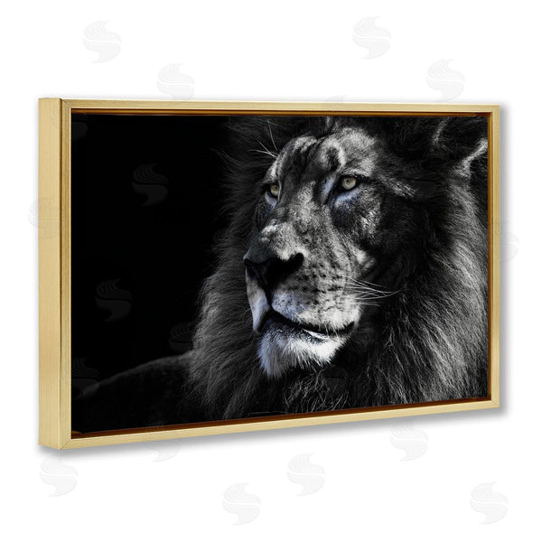 Stupell Industries Danita Delimont | Lion Portrait Close Up