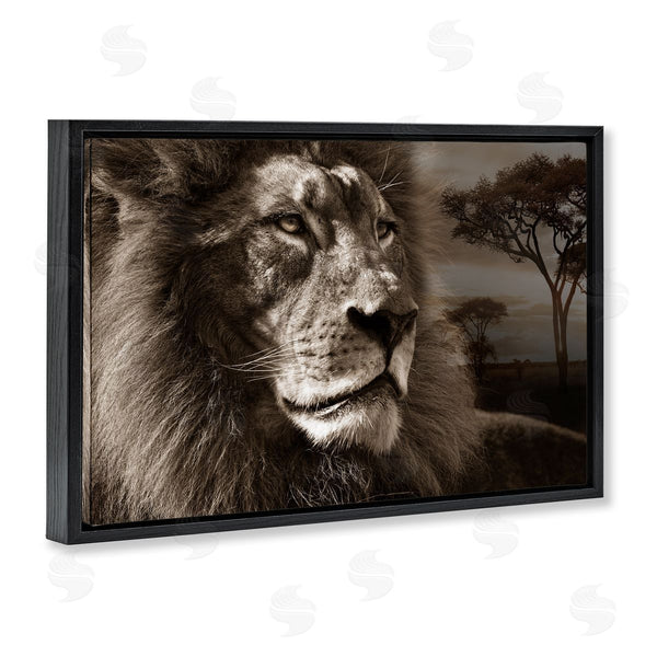 Stupell Industries Danita Delimont | Lion Portrait Over Savanna