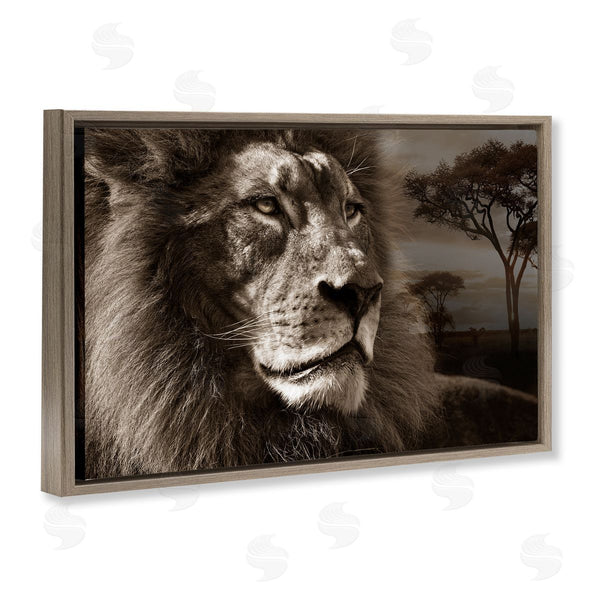 Stupell Industries Danita Delimont | Lion Portrait Over Savanna