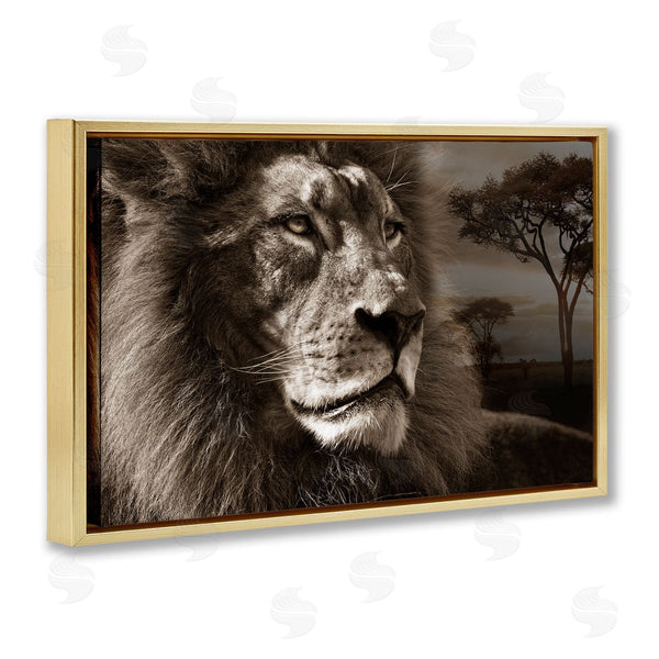 Stupell Industries Danita Delimont | Lion Portrait Over Savanna