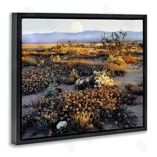 Stupell Industries Danita Delimont | Mountain View Desert Vegetation Wall Art