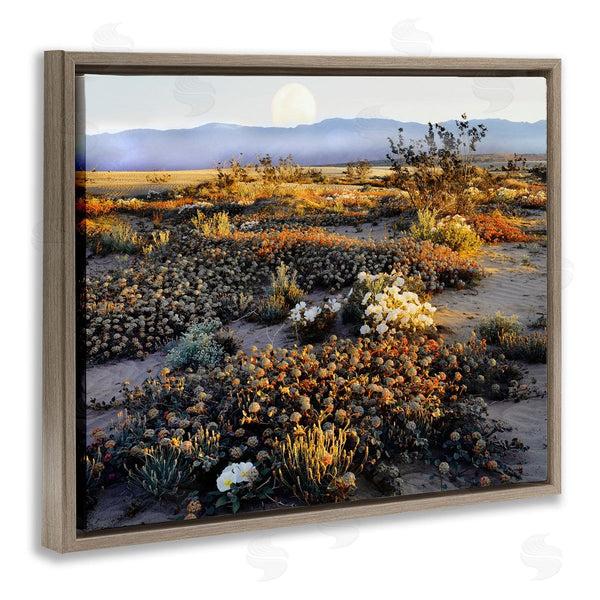 Stupell Industries Danita Delimont | Mountain View Desert Vegetation Wall Art