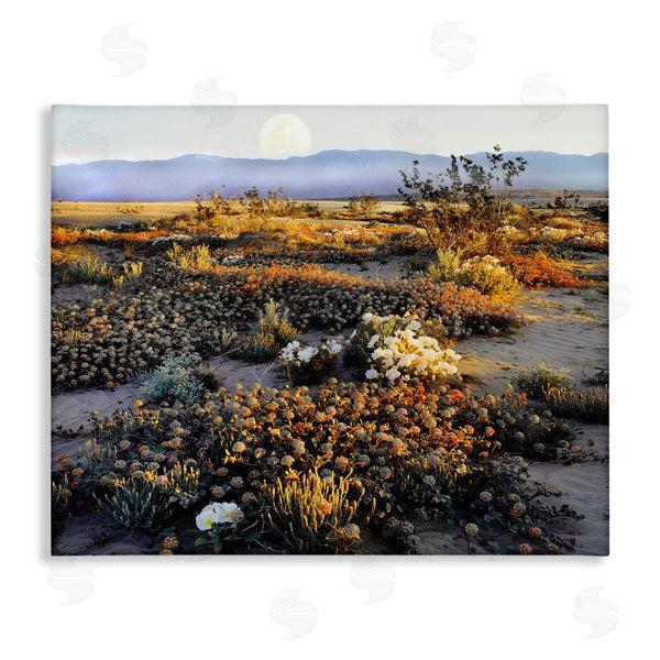 stupell industries Danita Delimont | Mountain View Desert Vegetation Wall Art