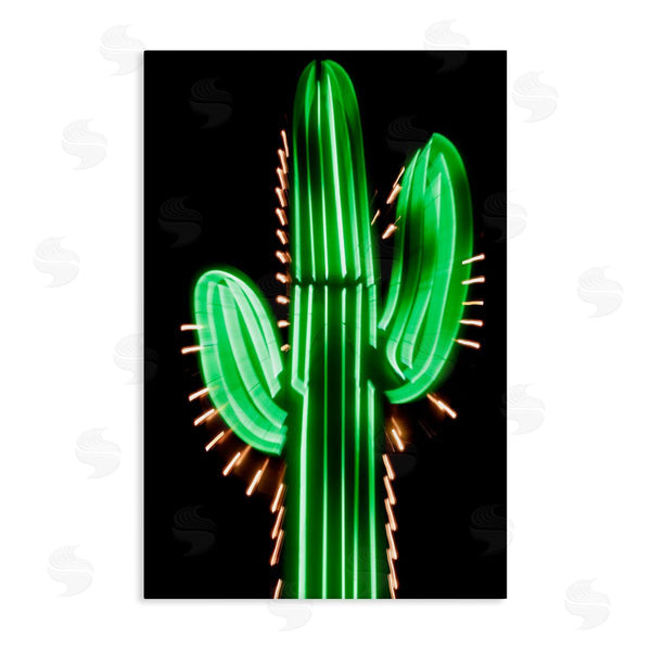 stupell industries Danita Delimont | Neon Lights Cactus