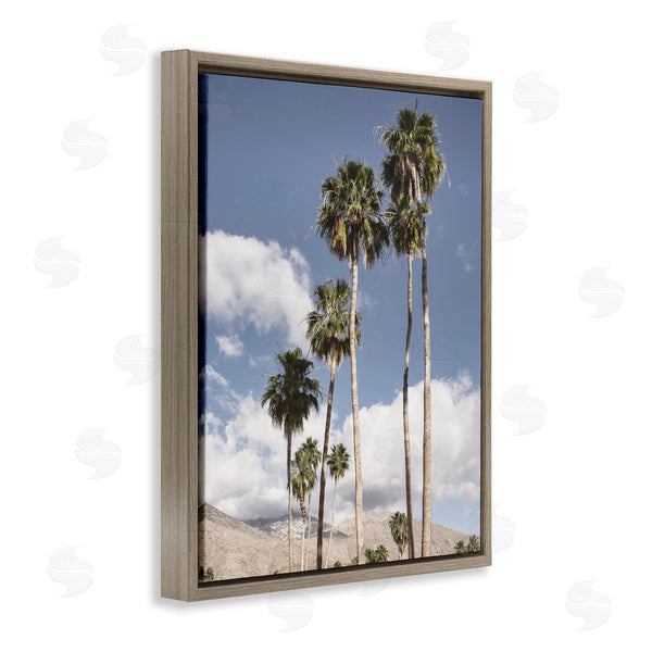 Stupell Industries Danita Delimont | Palm Springs Looming Trees