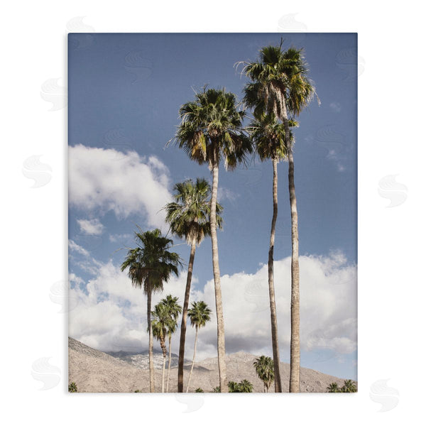 stupell industries Danita Delimont | Palm Springs Looming Trees