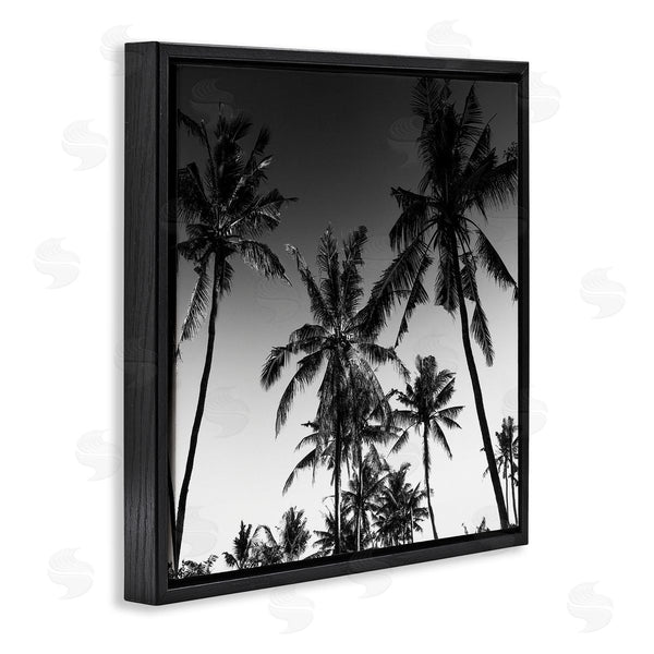 Stupell Industries Danita Delimont | Palm Sunset Stark Contrast