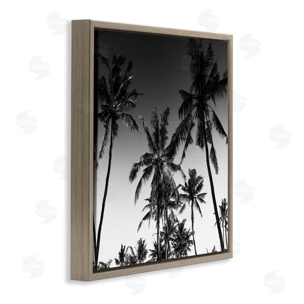 Stupell Industries Danita Delimont | Palm Sunset Stark Contrast