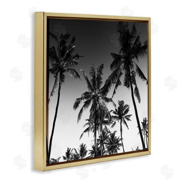 Stupell Industries Danita Delimont | Palm Sunset Stark Contrast