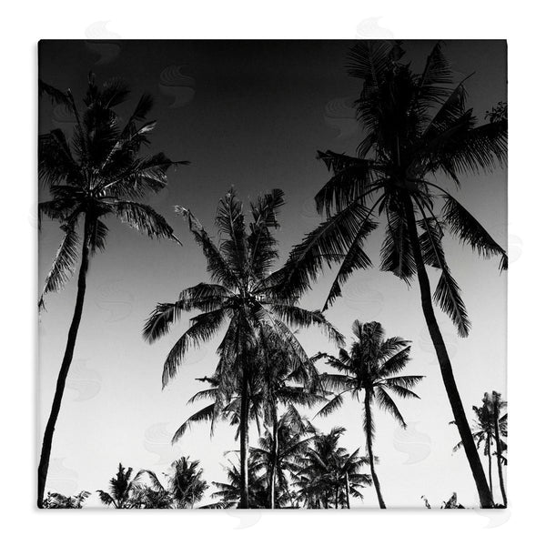 stupell industries Danita Delimont | Palm Sunset Stark Contrast