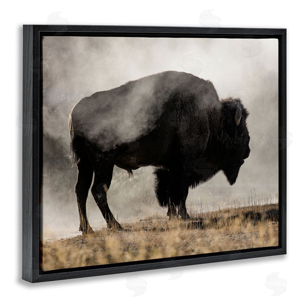 Stupell Industries Danita Delimont | Powerful Bison Grazing Foggy Rural Pasture Photography Wall Art