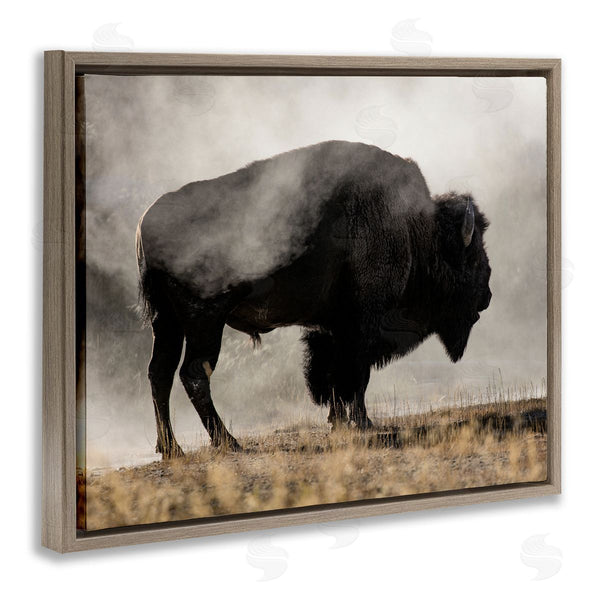 Stupell Industries Danita Delimont | Powerful Bison Grazing Foggy Rural Pasture Photography Wall Art