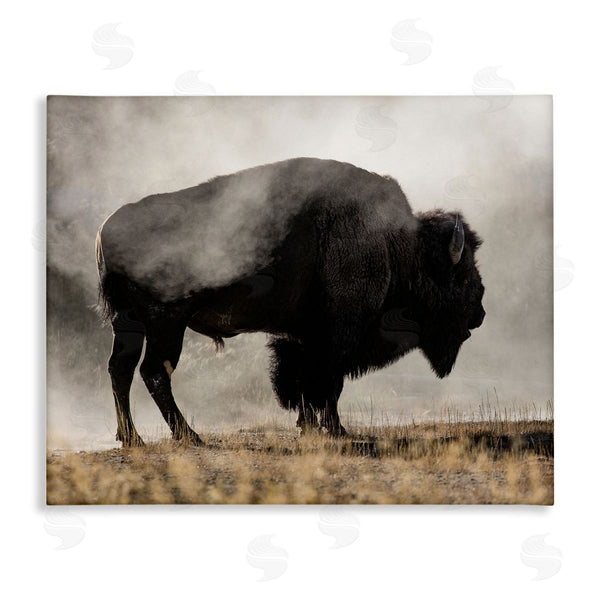 stupell industries Danita Delimont | Powerful Bison Grazing Foggy Rural Pasture Photography Wall Art